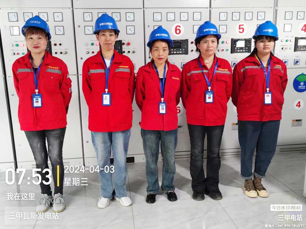 貴州三（sān）甲瓦斯發（fā）電（diàn）站項目（mù）