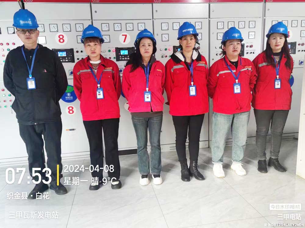 貴州（zhōu）三甲（jiǎ）瓦斯發電站項目