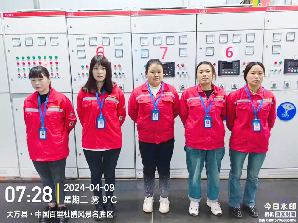 貴州（zhōu）鵬程瓦斯發電項目