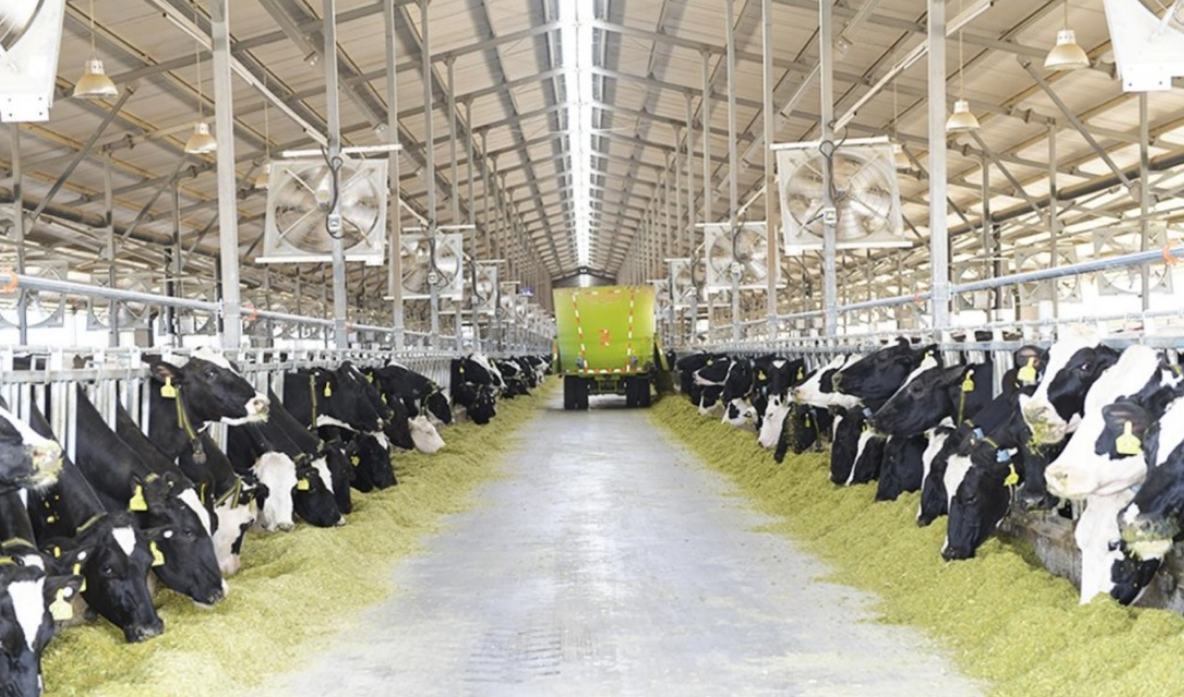 蘇墾優然牧業沼氣發（fā）電項（xiàng）目並網發電