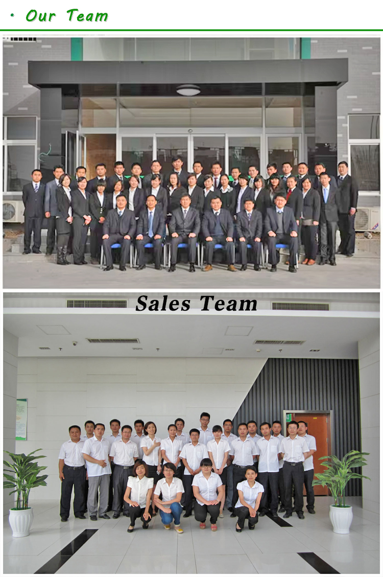 山東www.91视频.com（huán）動力1MW沼氣發電機組（zǔ）發（fā）往越南