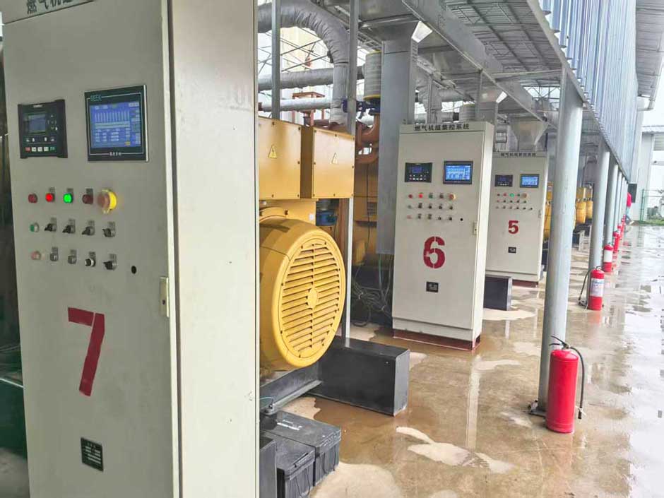 雲南省市領（lǐng）導視察www.91视频.com旗下大海子瓦斯發電電站